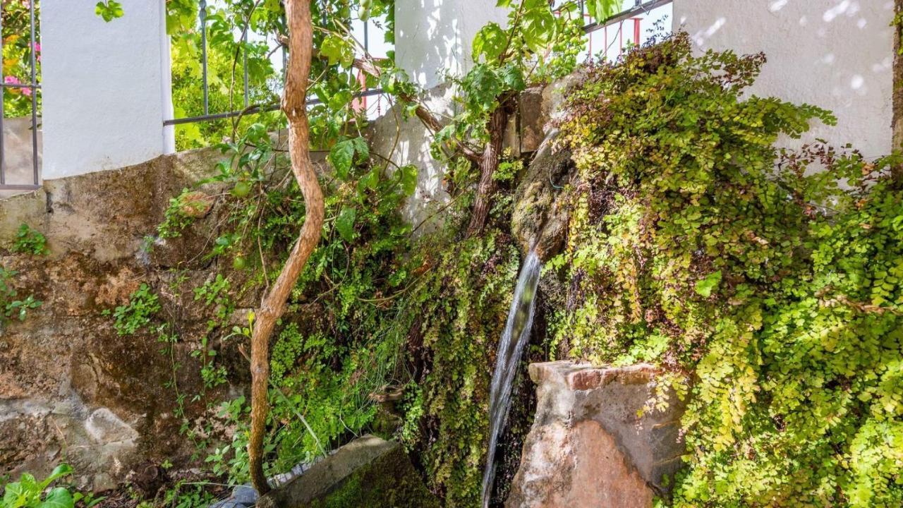 Molino Maroto Alhaurin El Grande By Ruralidays Villa Exterior photo